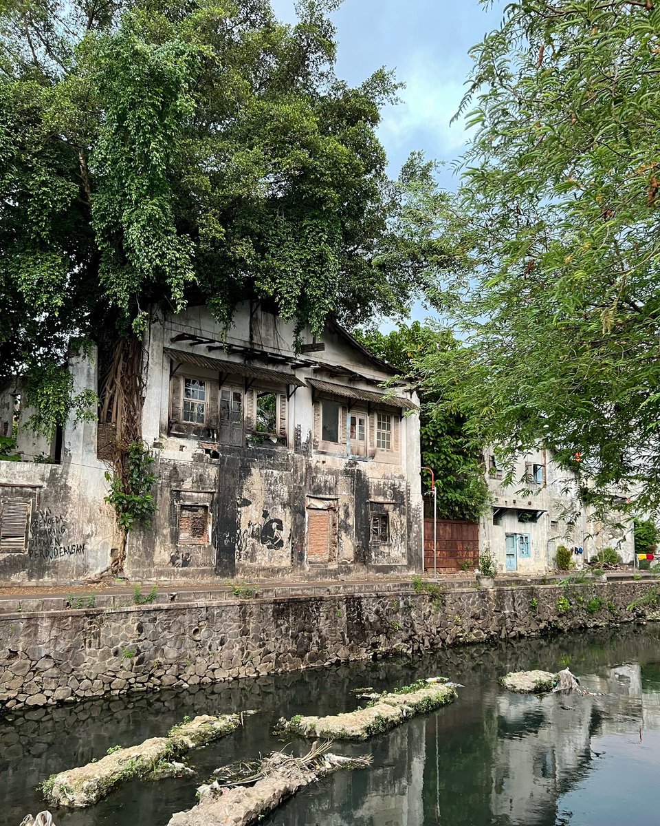 むーも tweet media