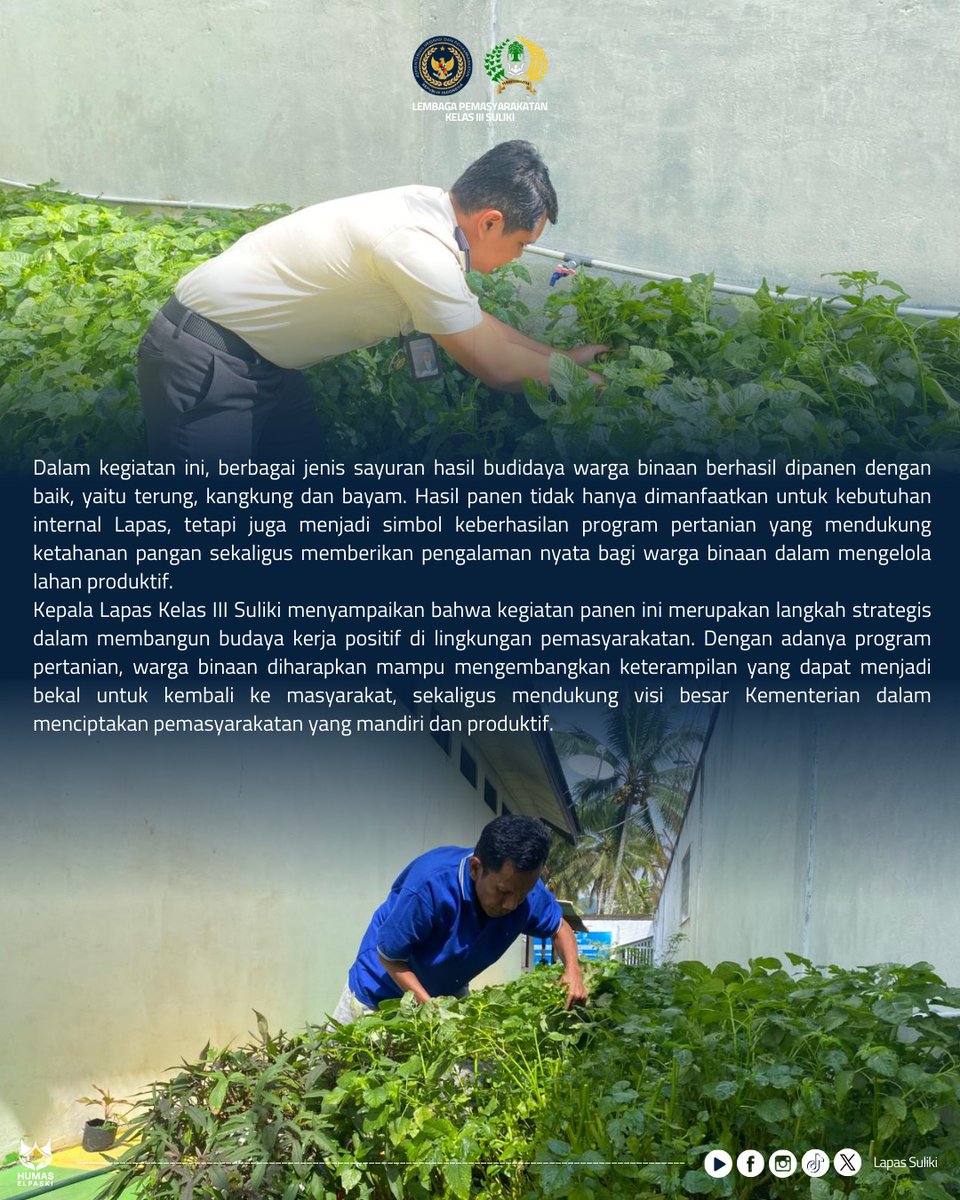 lapassuliki's tweet image. Lapas Kelas III Suliki Gelar Panen Sayuran Wujudkan Kemandirian Pangan
.
.
.
.
#kemenimipas
#guardandguide
#infoimipas
#pemasyarakatan
#ditjenpassumbar