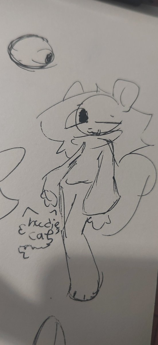 DatHoodieCat tweet media