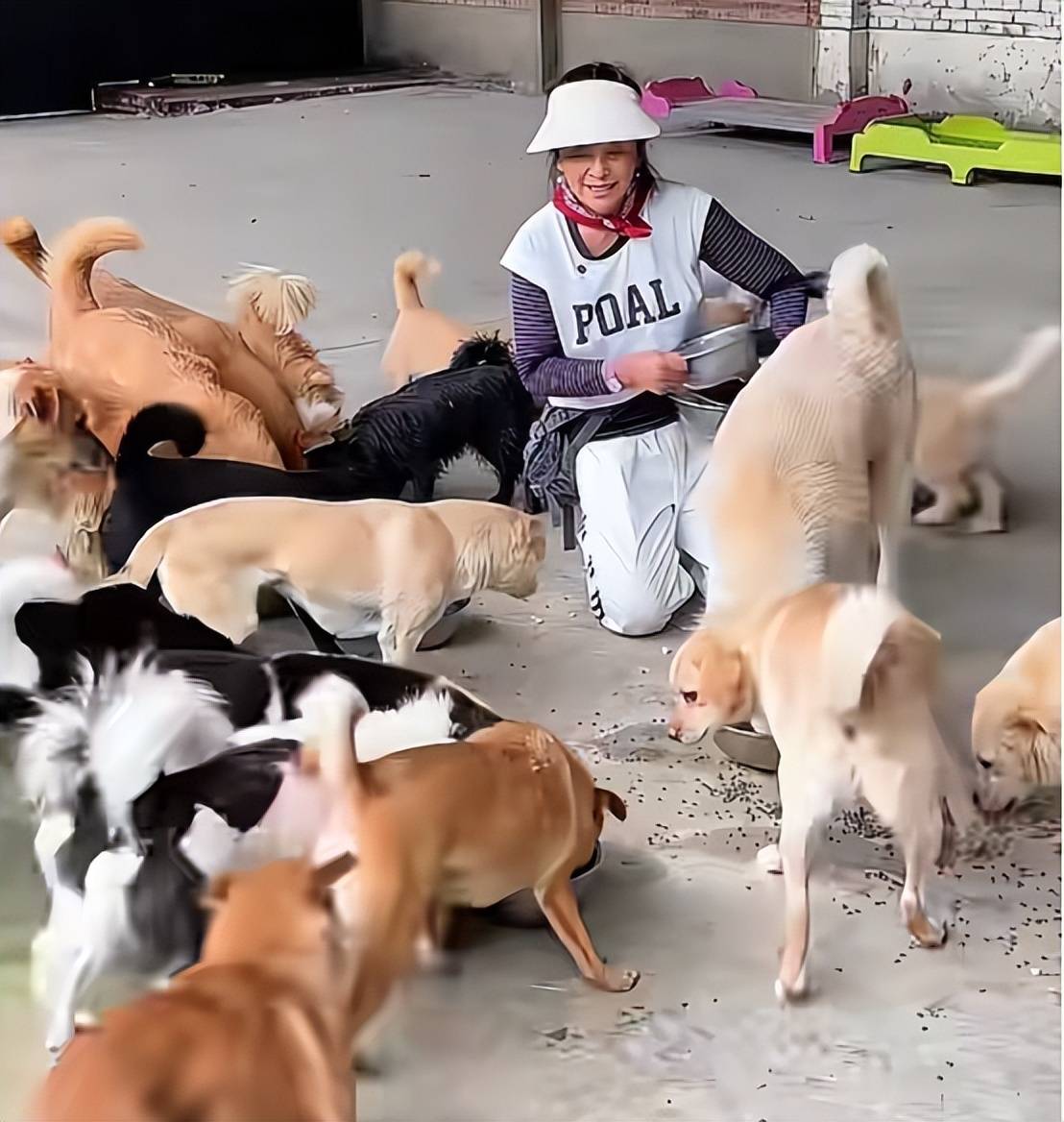 meet elle tweet media