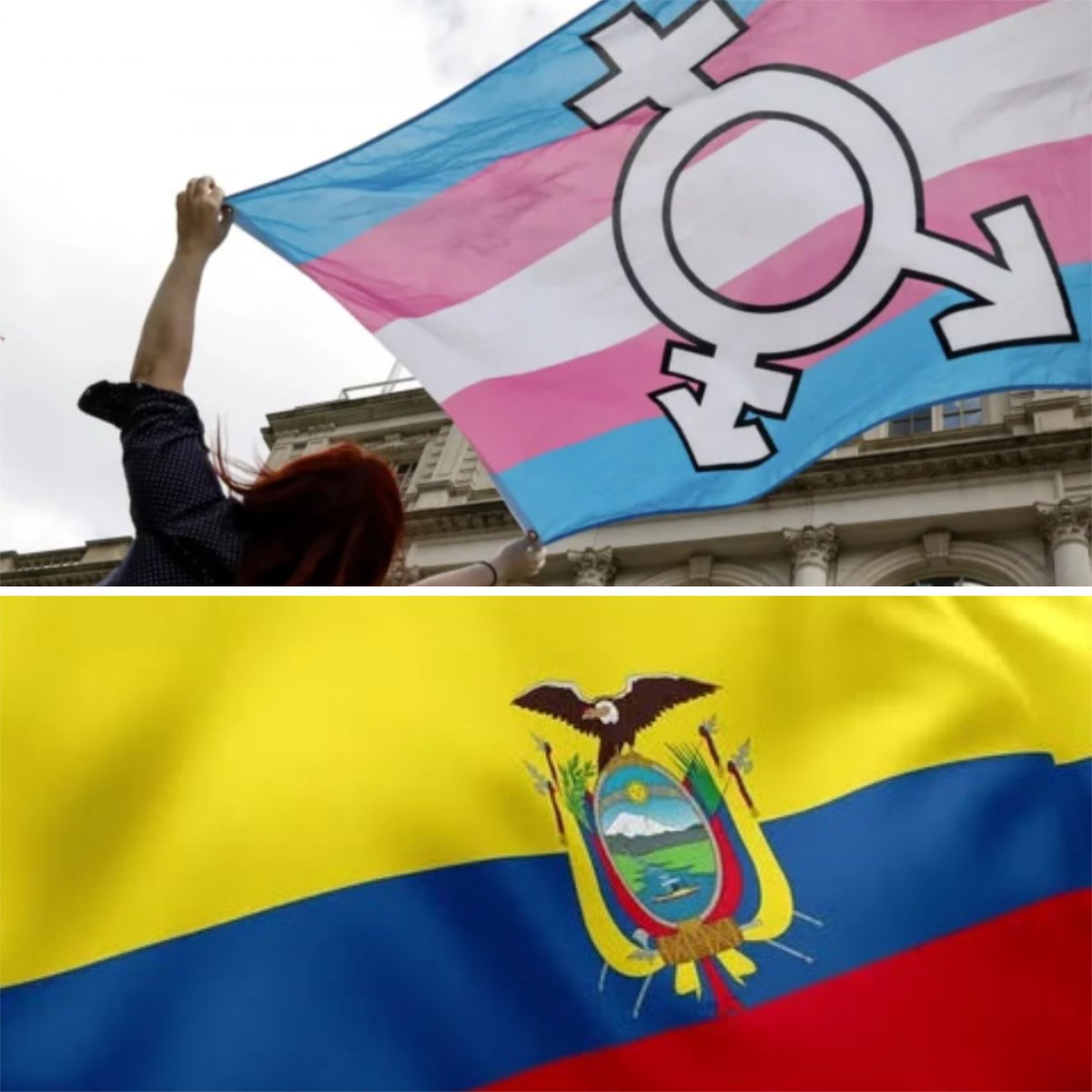 Menores podrán cambiar nombre y género en documentos de identidad en Ecuador.

Con histórico fallo judicial,  la Corte Constitucional declara inconstitucional el apartado de la ley que sólo permitía este derecho a mayores de 18 años. Hilo.