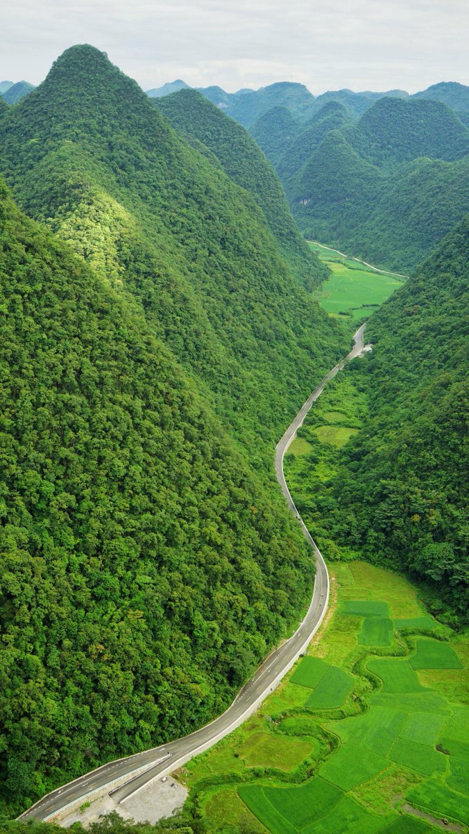 George Hedije tweet media