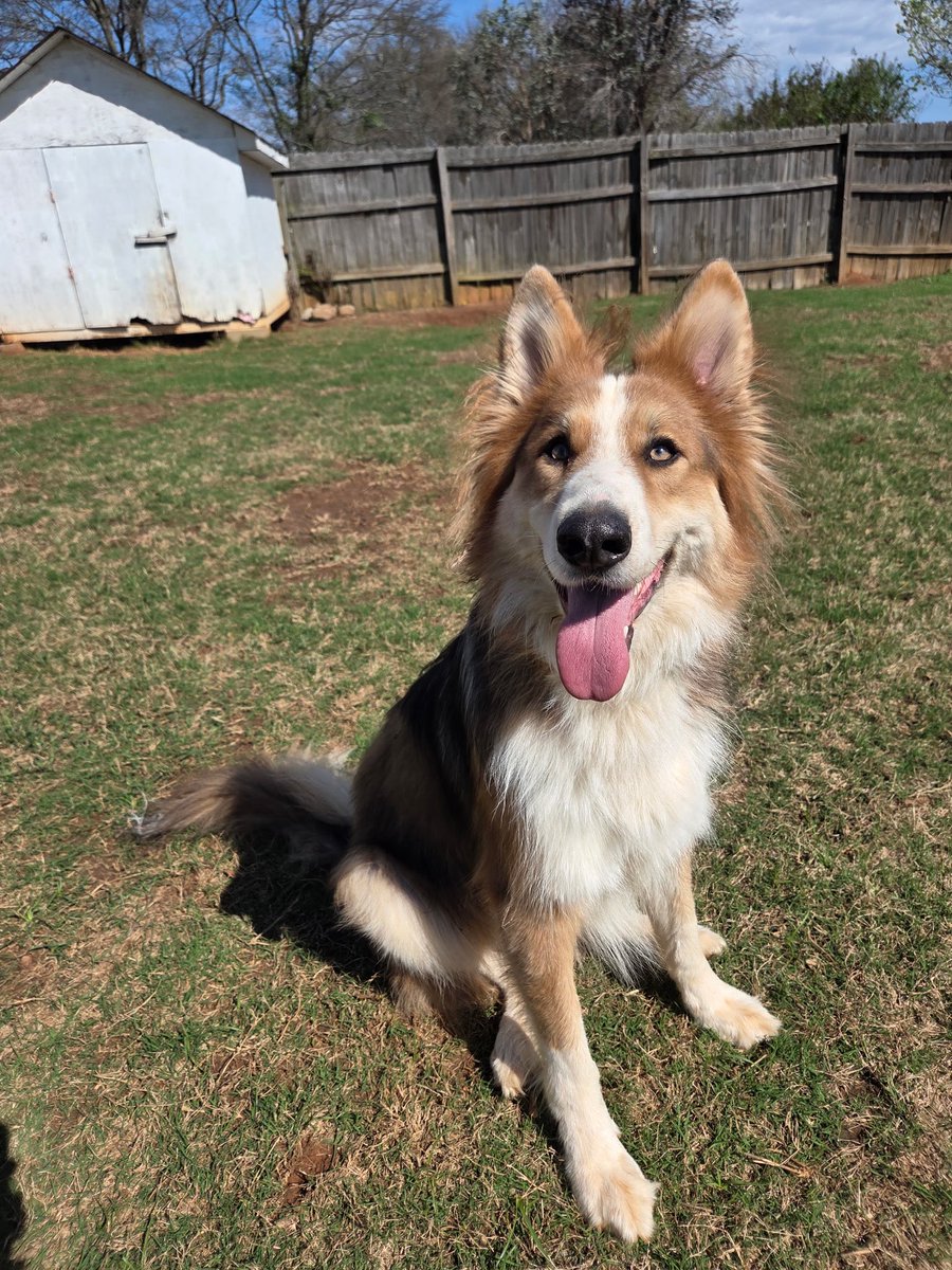 Crossy ❄️ tweet media