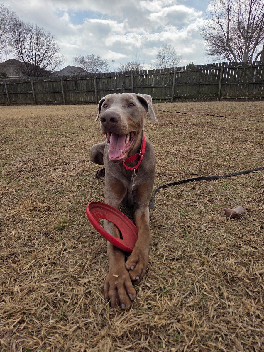 Crossy ❄️ tweet media