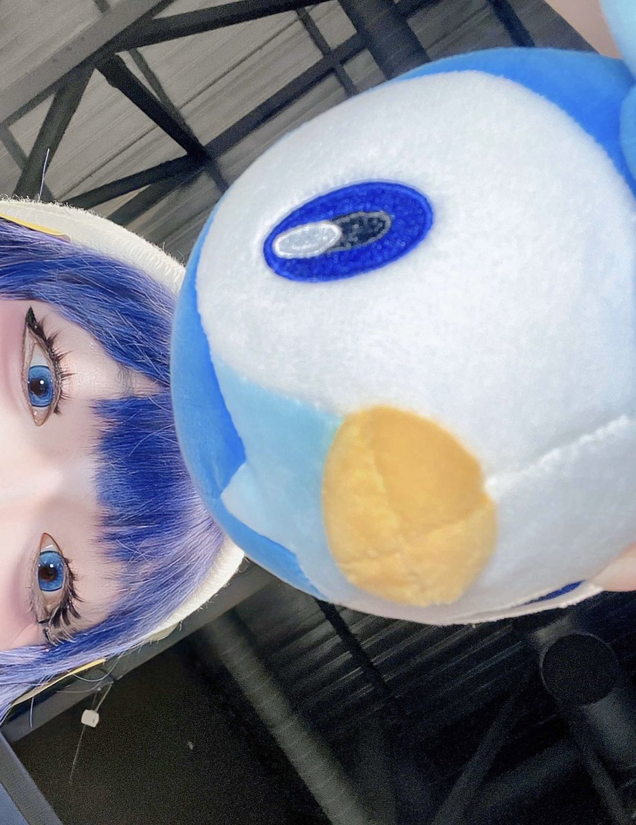 솜버 🩵 tweet media