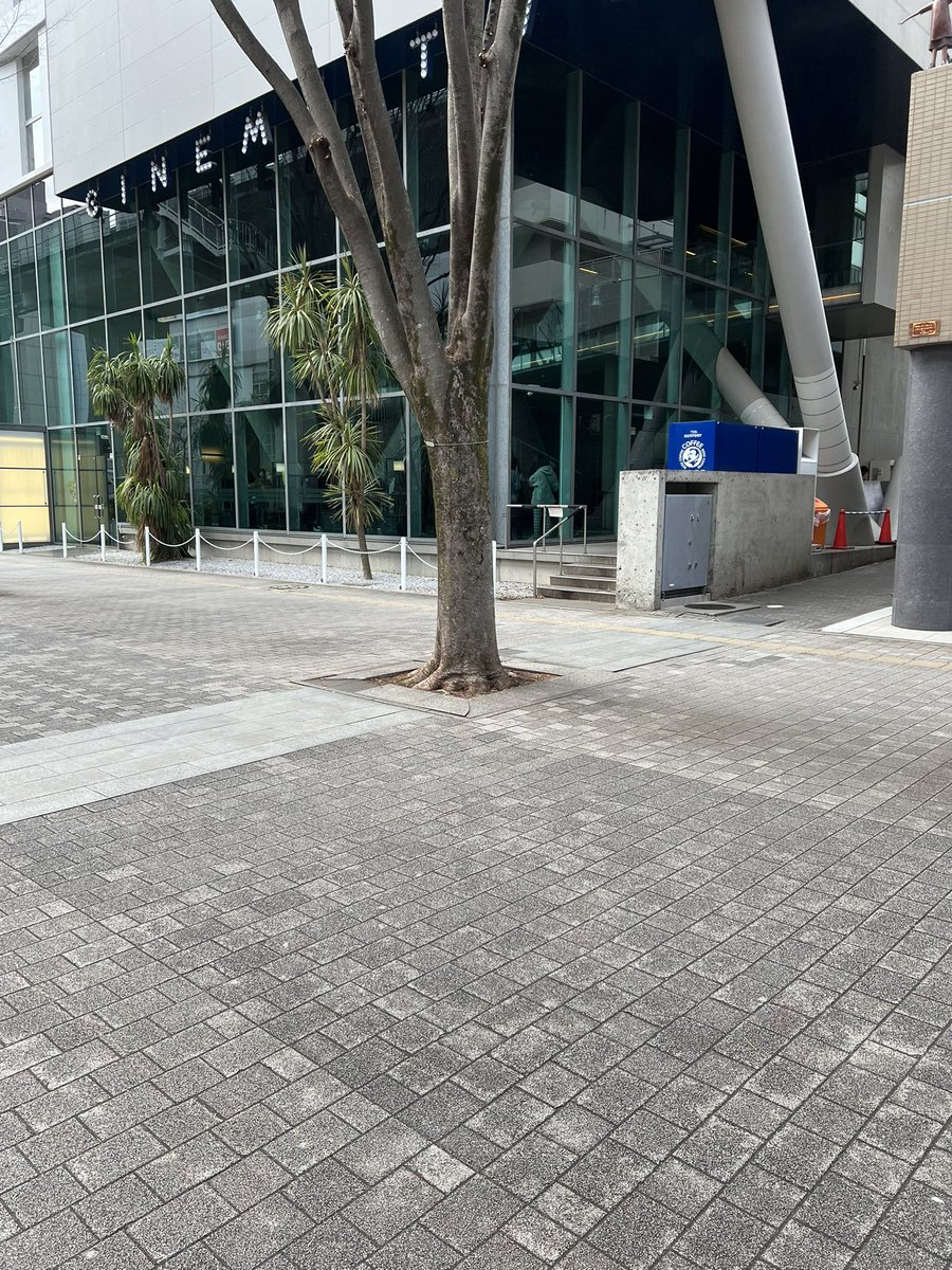 とーか tweet media