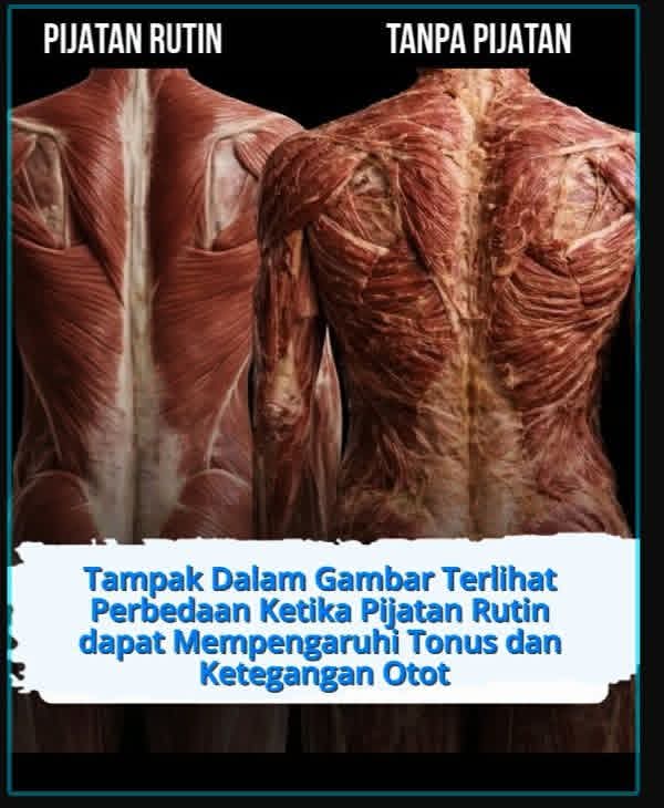 Ayo p1jaad tweet media