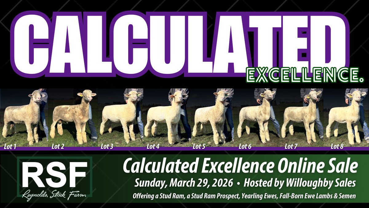 Skip Anderson tweet media