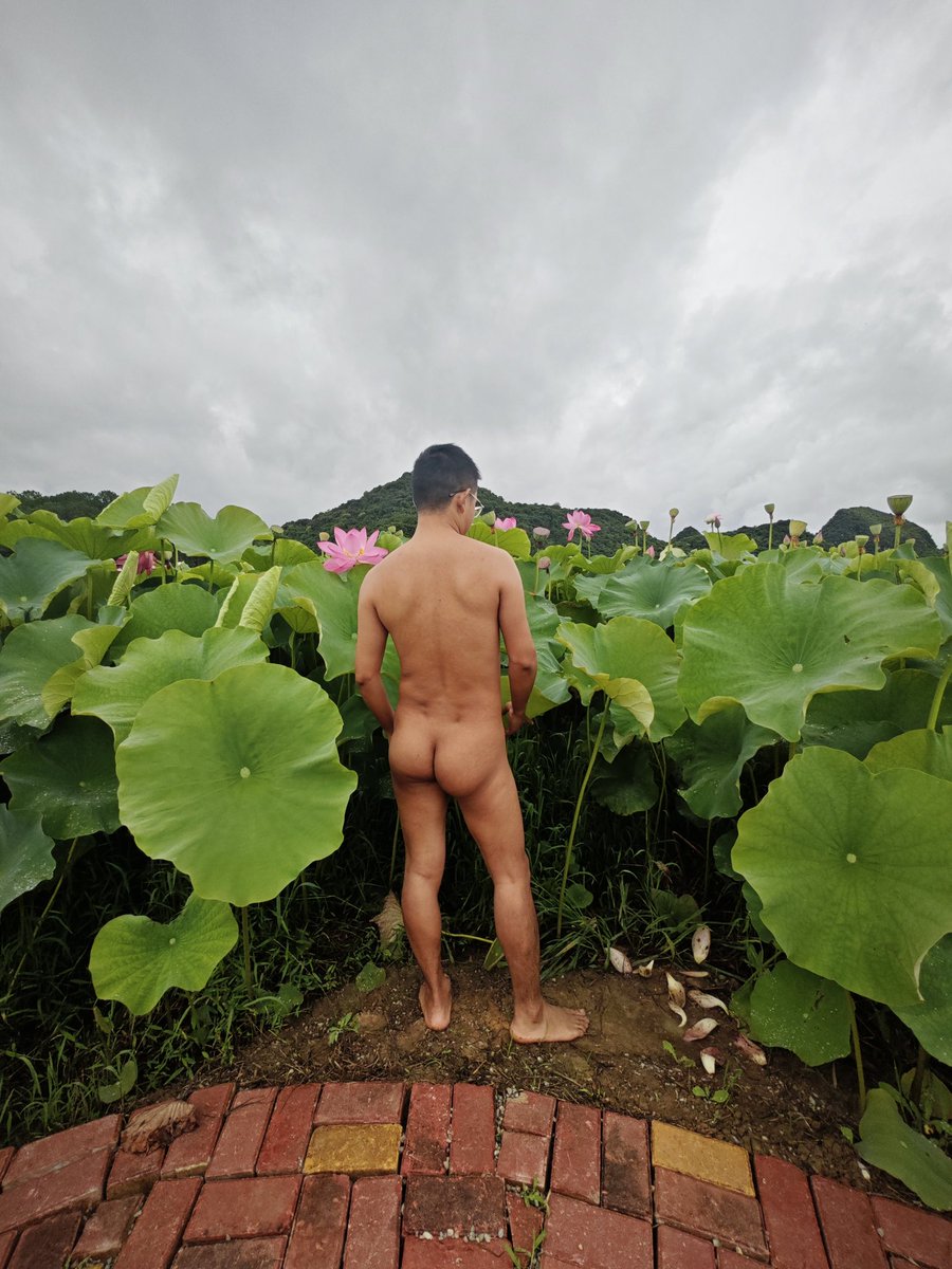 knazal北辰 tweet media