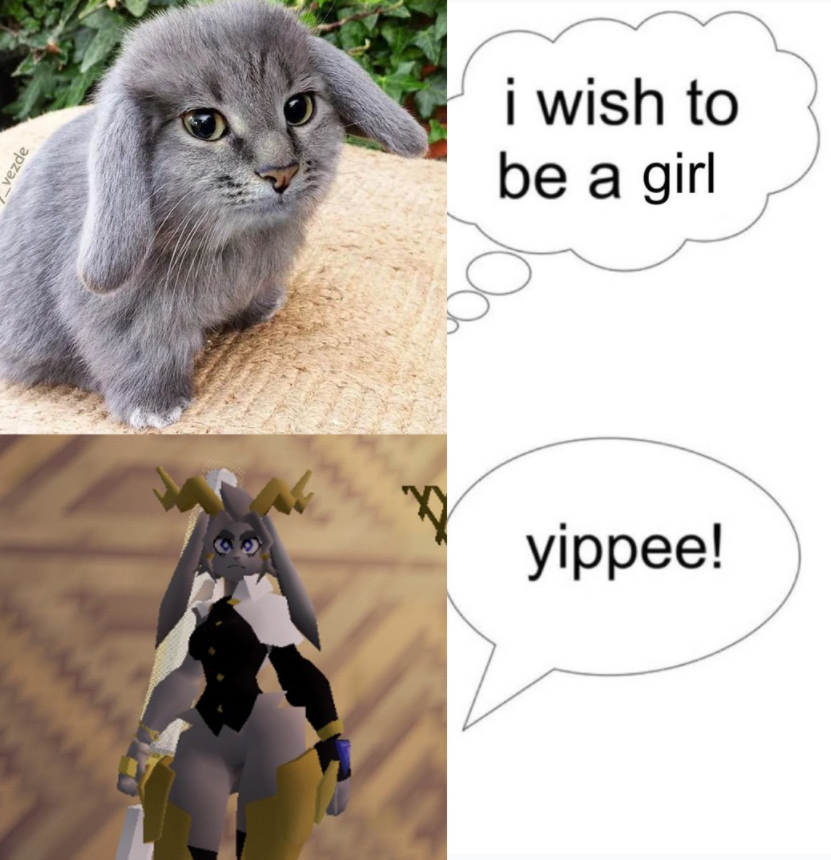 dreambreaker19 tweet media