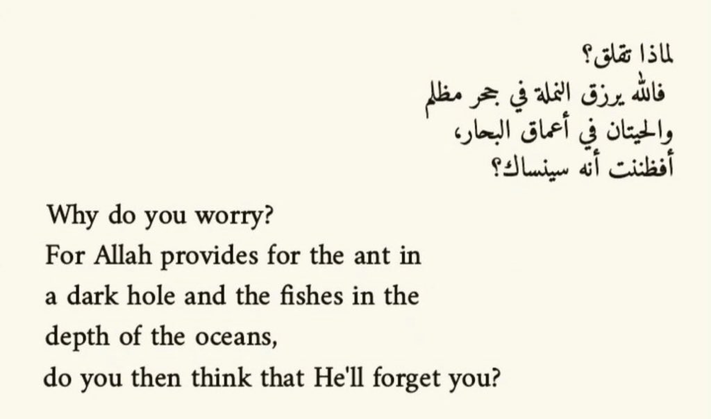 Detective! tweet media