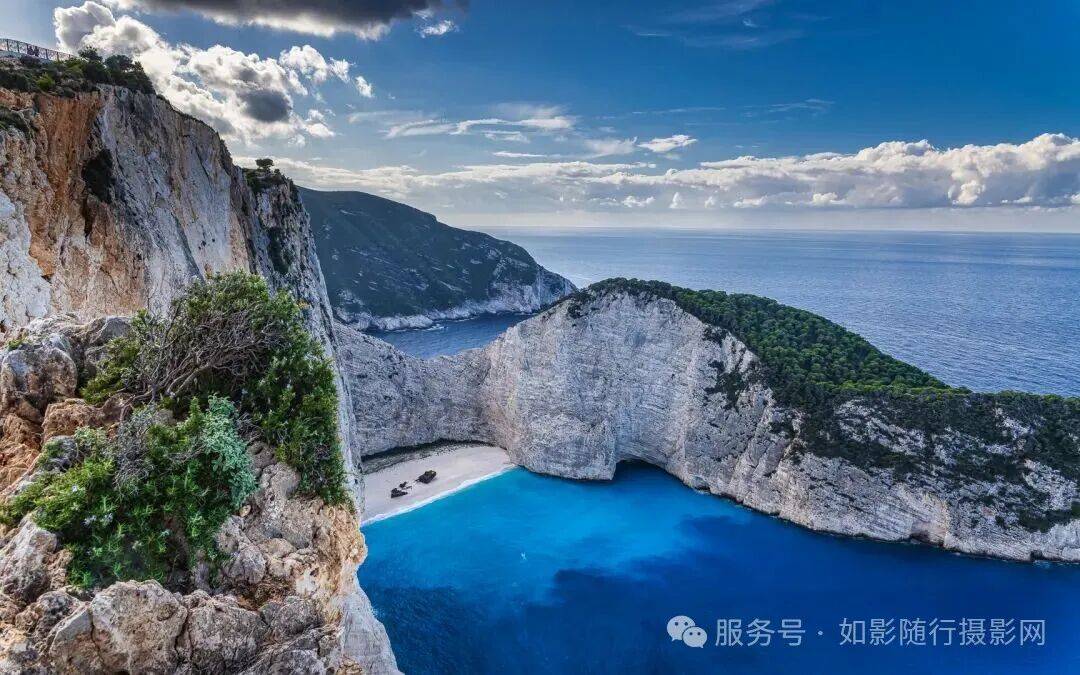 tamara yael tweet media