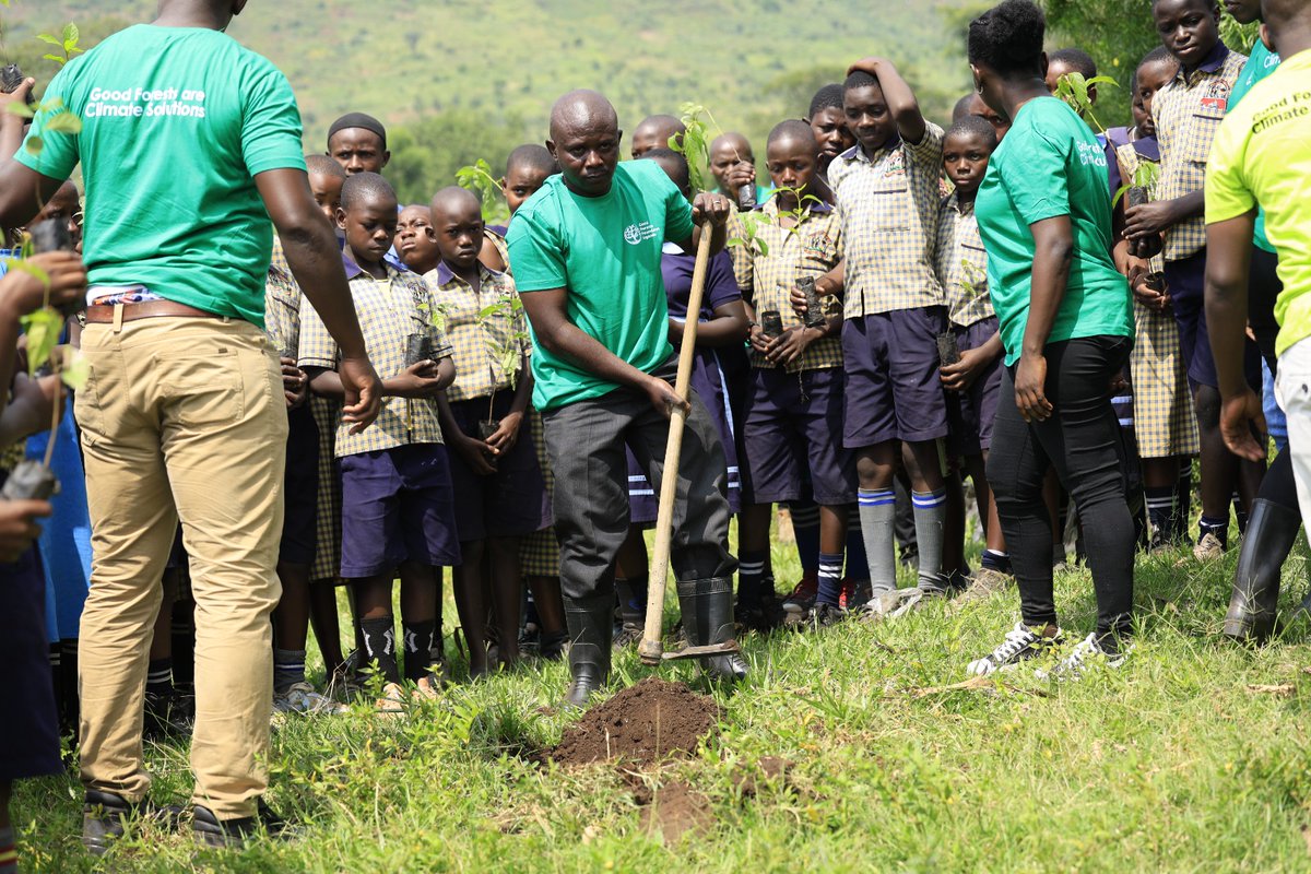 Jannie_jennah's tweet photo. Good Forest Foundation sees this Water and Environment Week as an opportunity to turn awareness into action through tree planting activities. 

As part of the celebrations, the foundation will plant trees in Hoima and Rukunjiri on 19th March. And later in Fort Portal on 21st March as part of the World Forests Day Forests activities. 

Continuing their commitment to restoring Uganda’s forests and encouraging communities to be part of a greener future. 
#RestoringForests