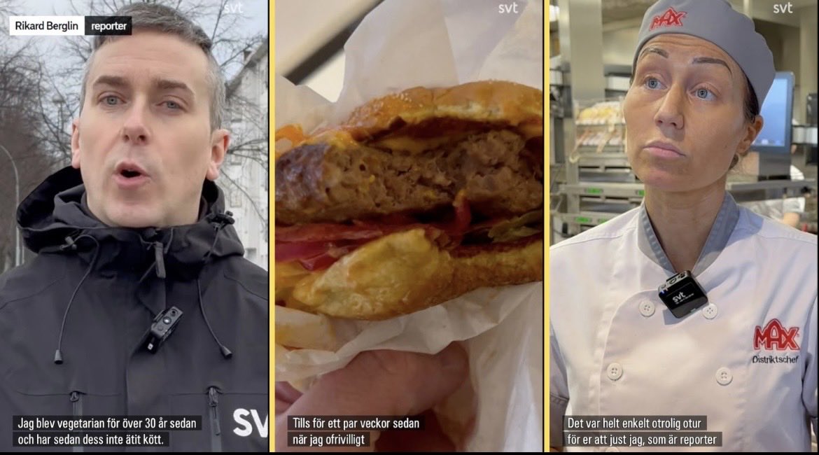 Yvette ✝️☦️🐕‍🦺 tweet media