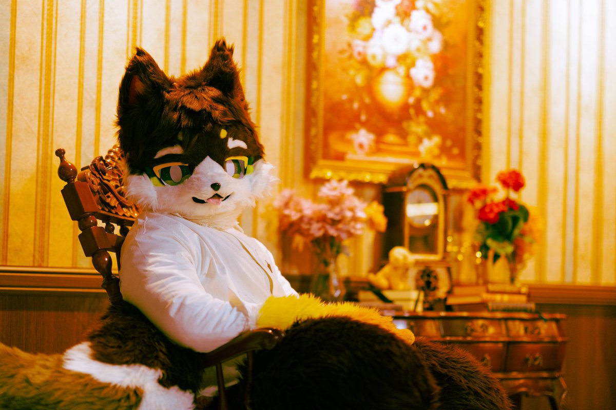 🐺 라만 🦴🔜 프로젝트 테일 tweet media