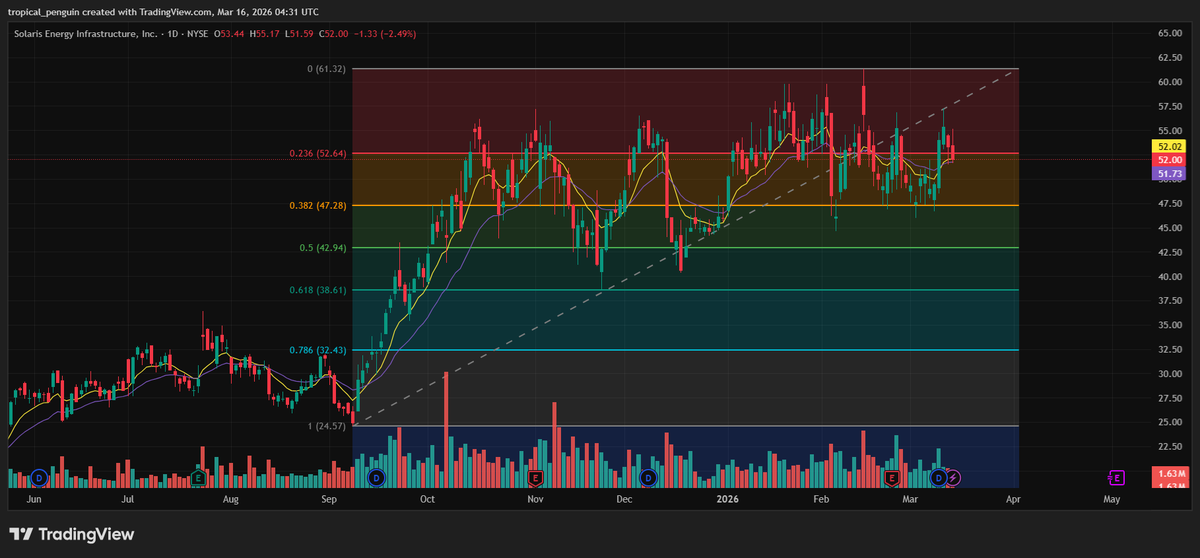Tropical Penguin tweet media