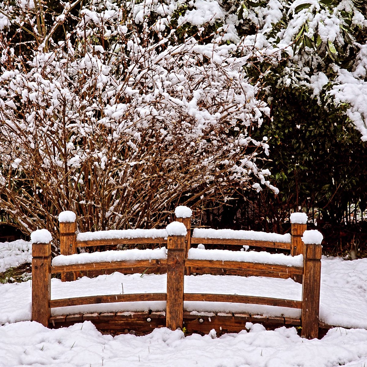 PreetikaSrcm's tweet photo. Winter taking a scenic route out! #MarchSnow #WinterInSpring https://t.co/swNzIDnrkL