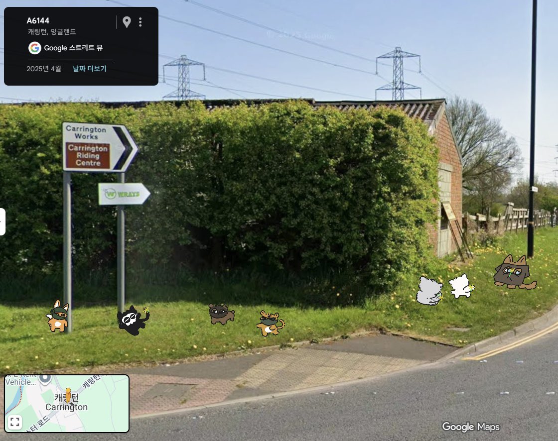 캐링턴 tweet media