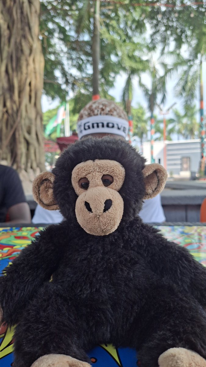 mheladoe.eth📊 INTEGRATED 🪝Hookt🦍 tweet media