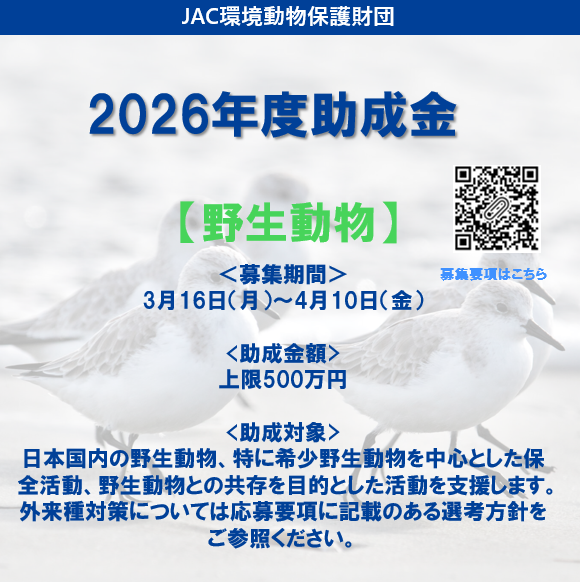 JAC_foundation's tweet photo. ＜2026年度助成募集【野生動物】受付開始のお知らせ＞

公益財団法人JAC環境動物保護財団では、2026年度助成選考 【野生動物】の募集を、3月16日（月）より開始いたしました。
募集要項をご確認のうえ、ぜひご応募ください。

▼募集要項はこちらから
https://t.co/aIRlw87Zy2 https://t.co/k1Xd5PbZBf