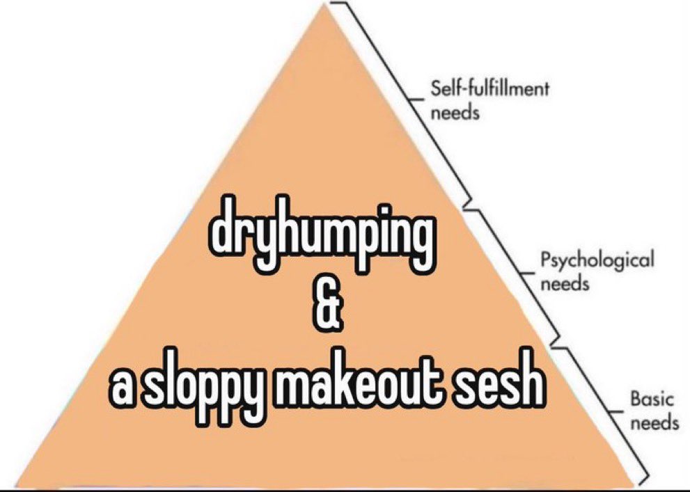 ⋆₊ 𝓹𝓼𝔂𝓬𝓱𝓸 ₊⋆ tweet media