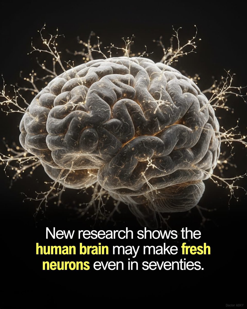 SciTech Girl tweet media