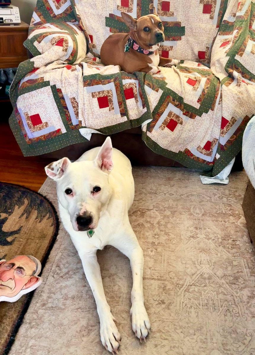 Cristina Eldridge tweet media