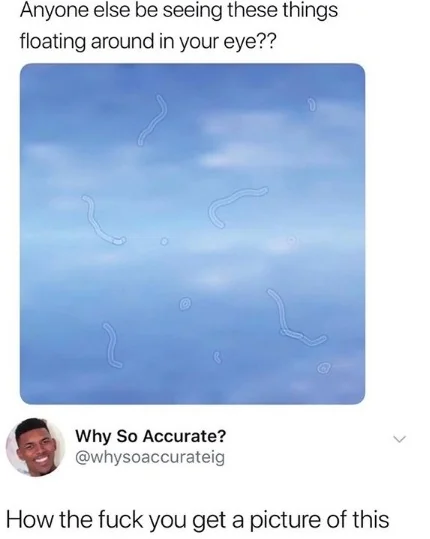 Dominik Sobe ツ tweet media