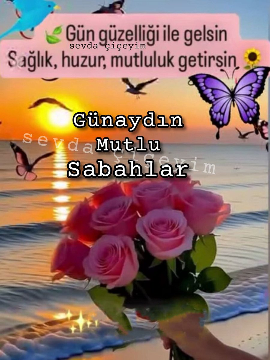 Mehmet Kaya tweet media