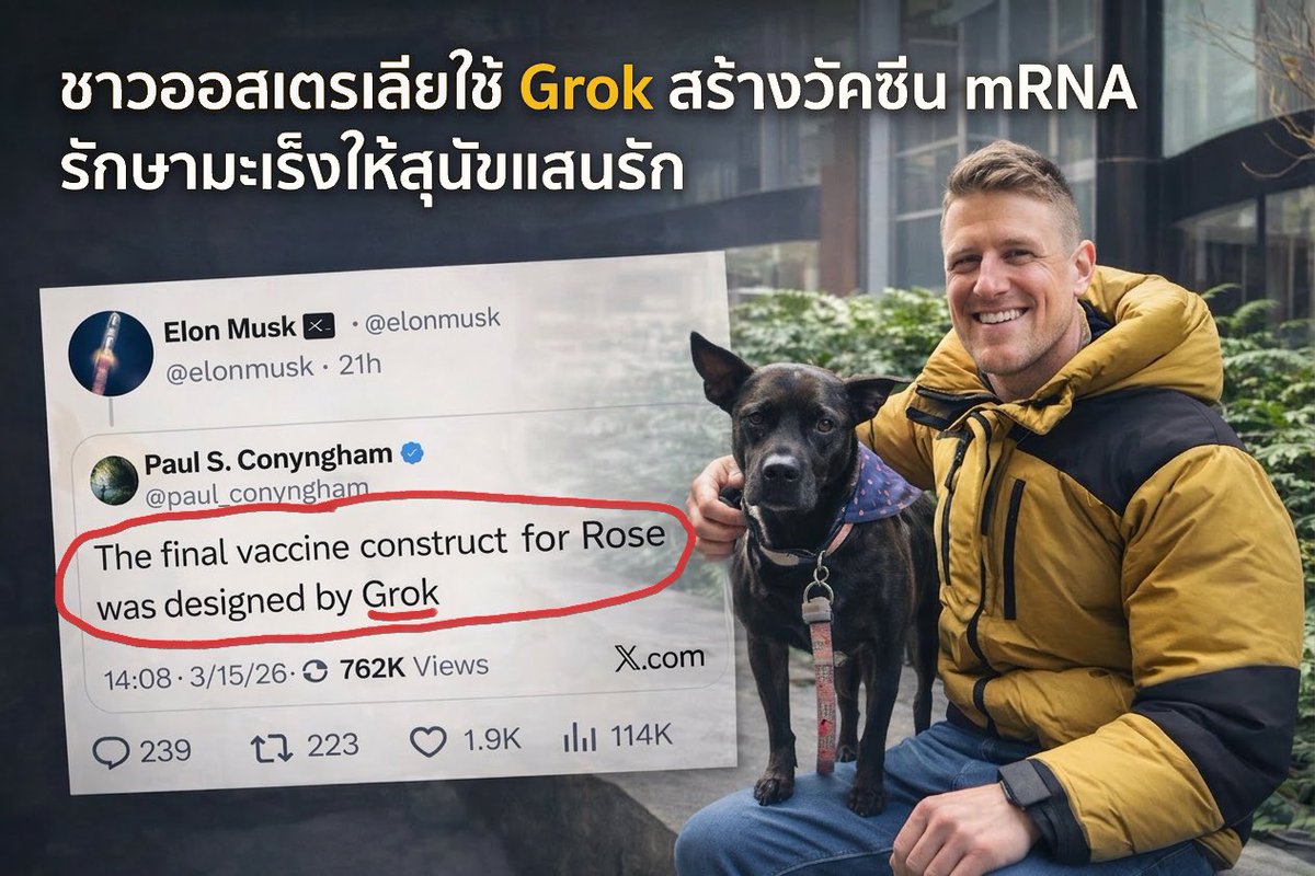 SleeplessBKK tweet media