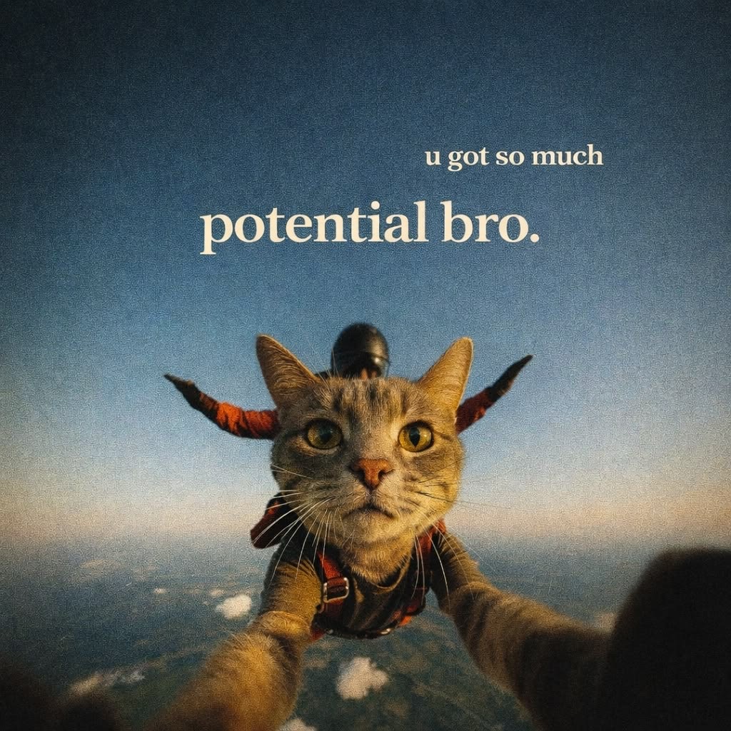 Cat Posted tweet media