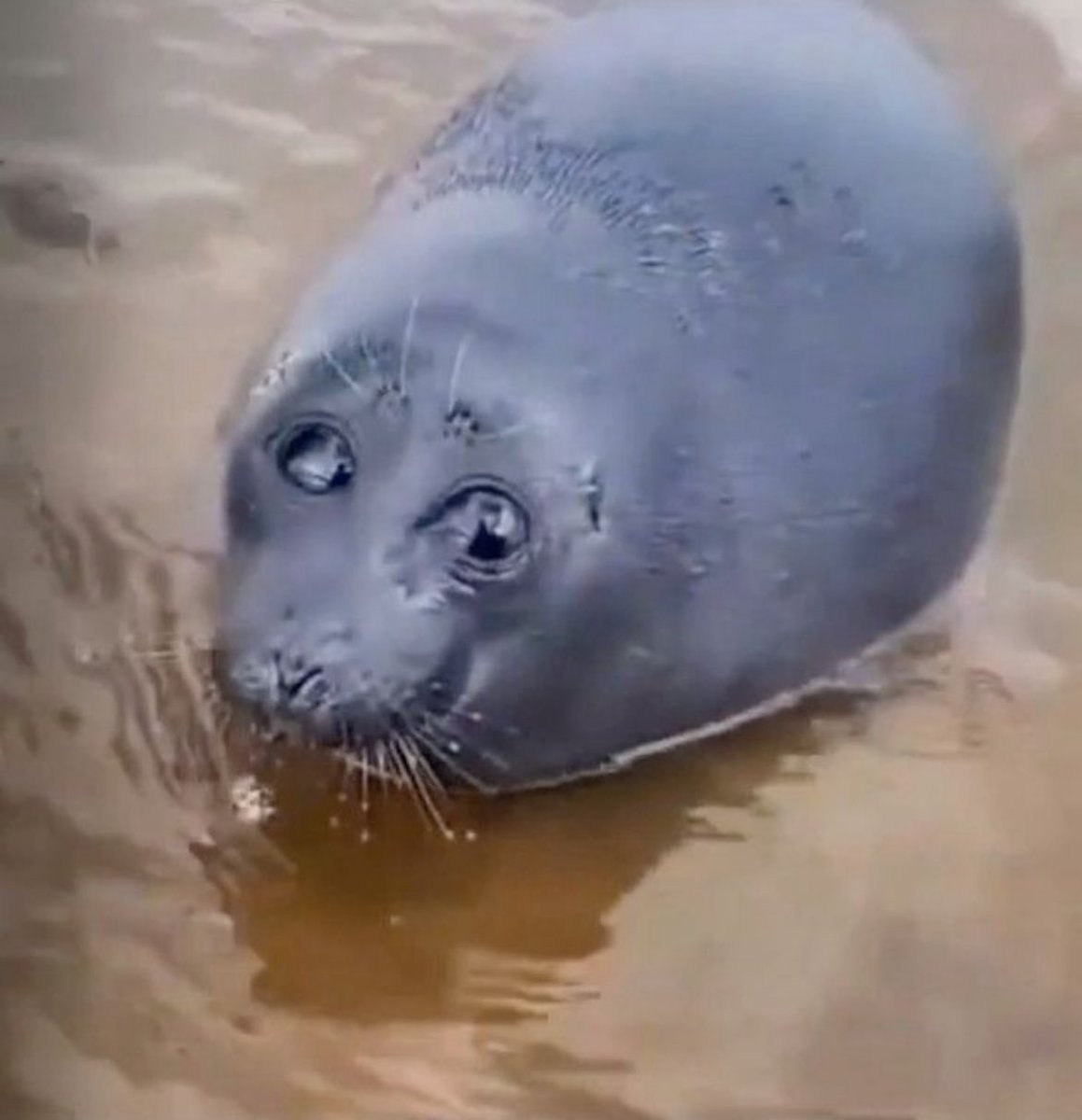 Esme_UwU tweet media