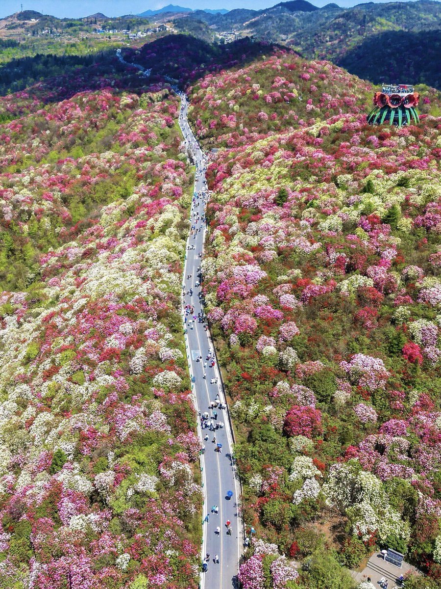 Mia(💯互 fo) tweet media