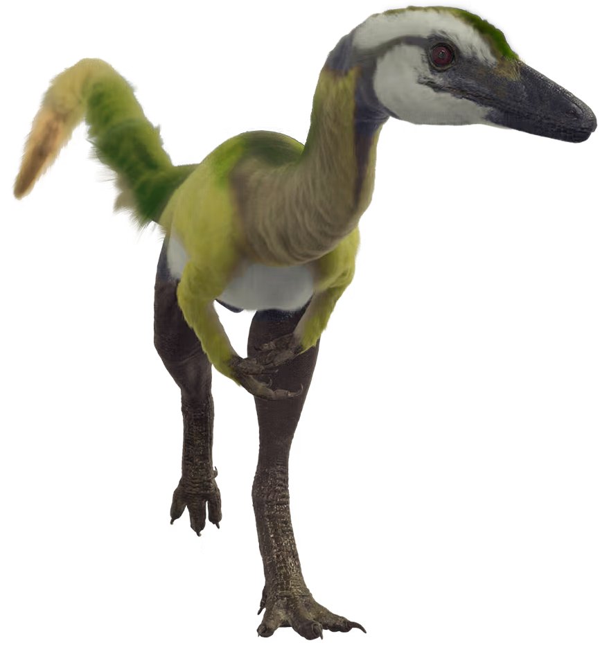 Microraptor tweet media