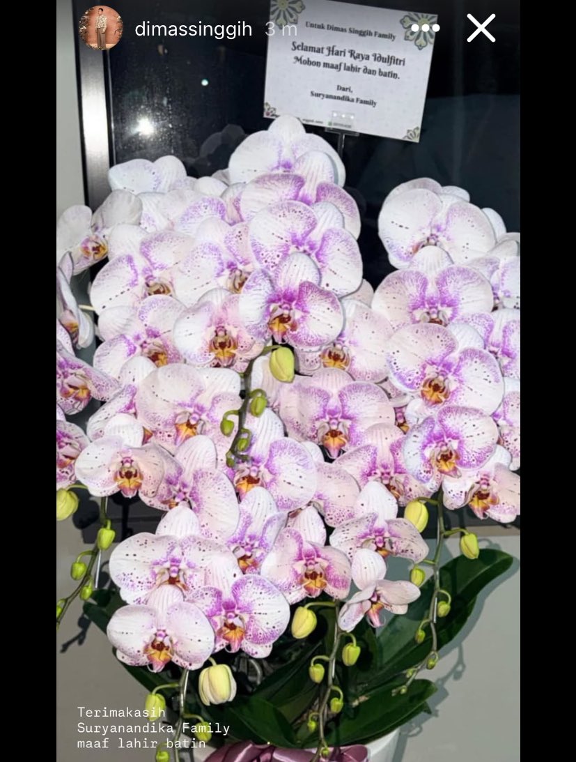 juzz 🥑 tweet media