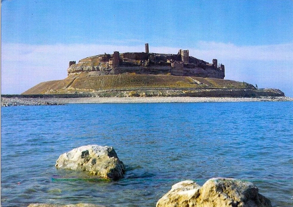 jaret alaassi tweet media