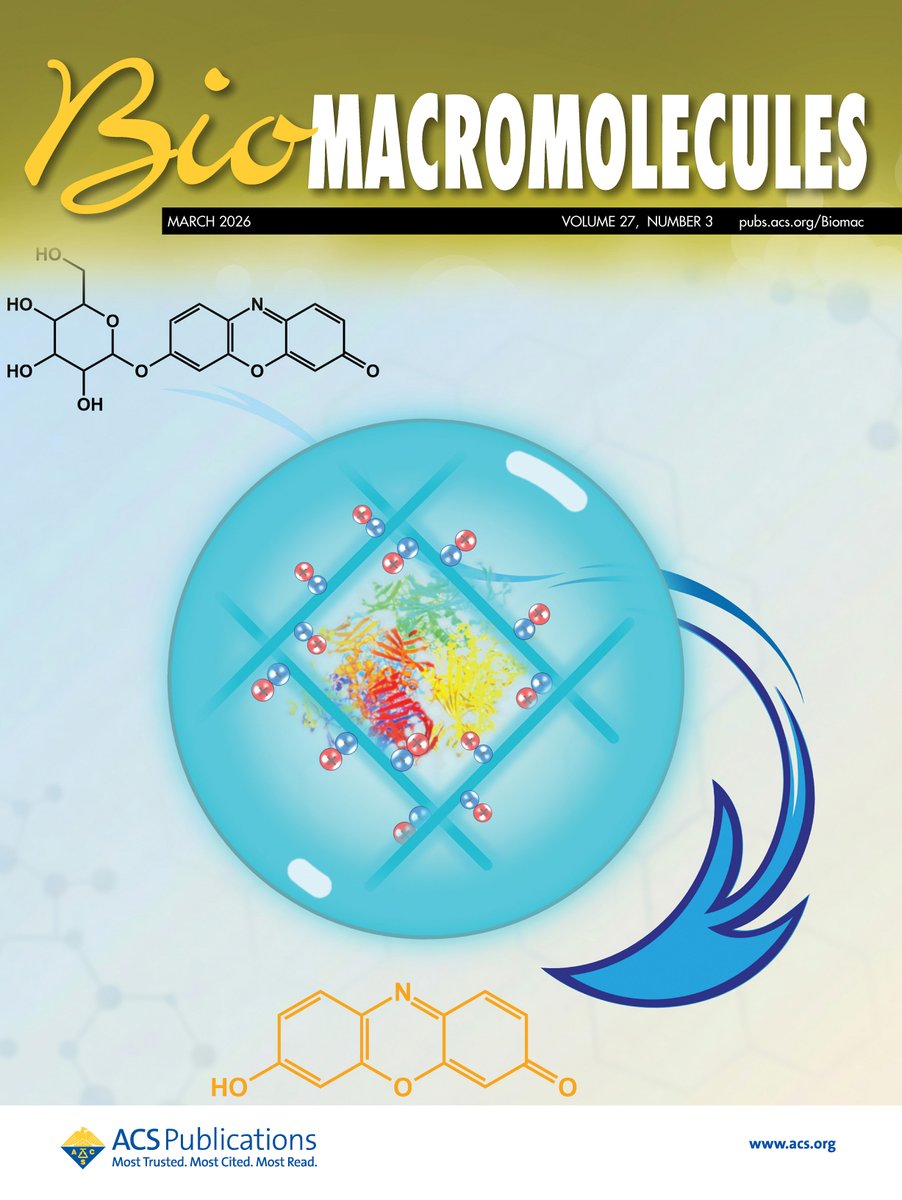 OsakaMetUniv_en's tweet photo. A research paper led by Professor Yan Xu of the Graduate School of Engineering has been selected as the cover article in Biomacromolecules!
 https://t.co/Ggw0AXJseh
#OMU #Biomacromolecules #PolymerScience #Hydrogel #Enzyme https://t.co/xvoDDQ9HbQ