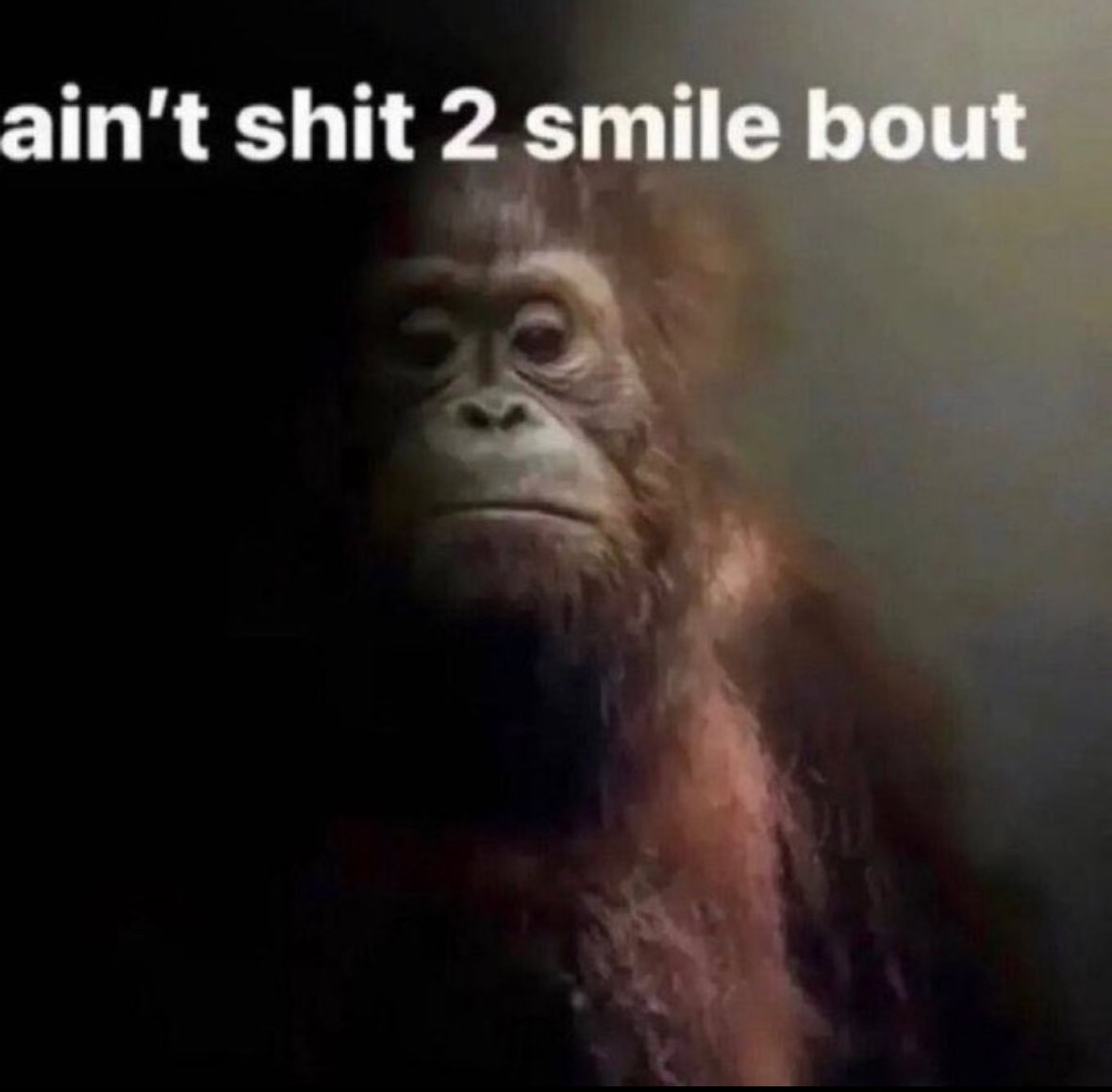 7VEN Ozone tweet media