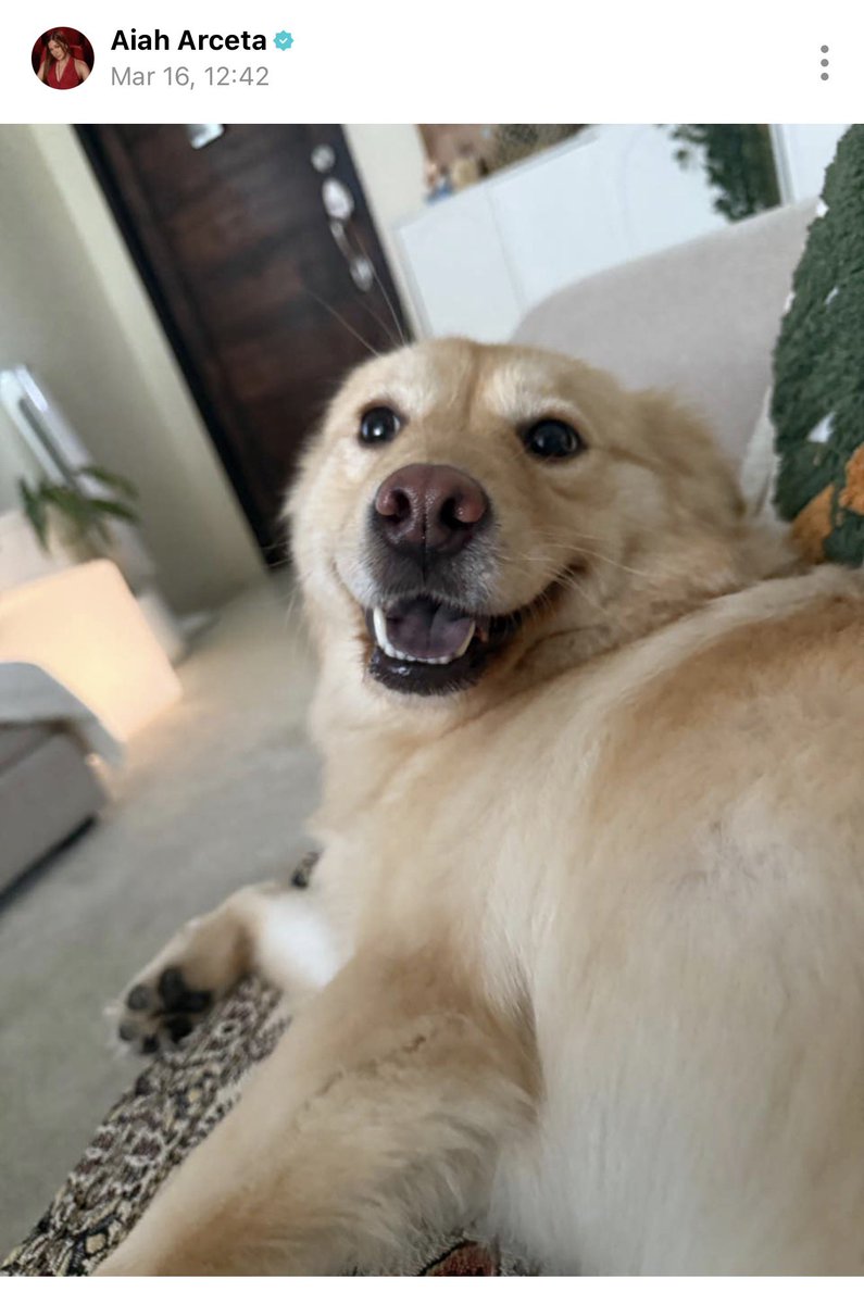 first aiah weverse post is honey of course! 😂