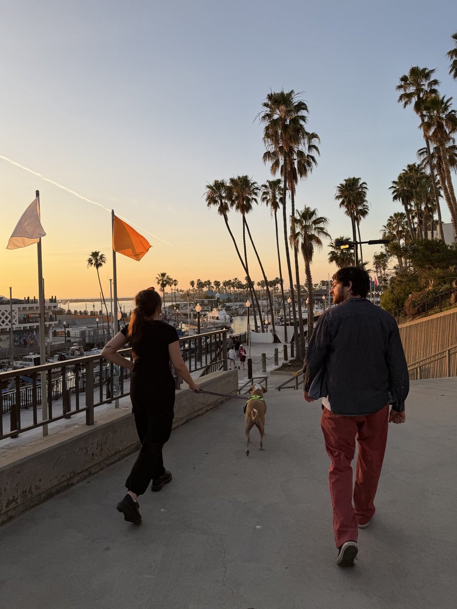 Paula ⸜( ´ ꒳ ` )⸝ tweet media