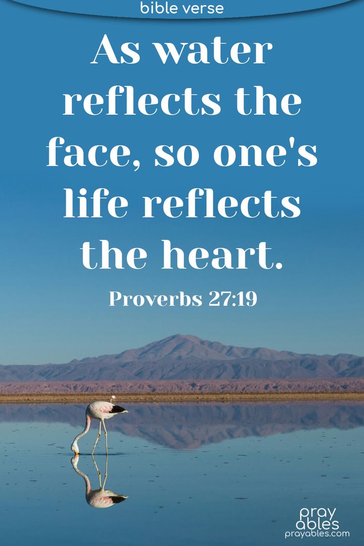 Gm, Gm legends. May today find you blessed.