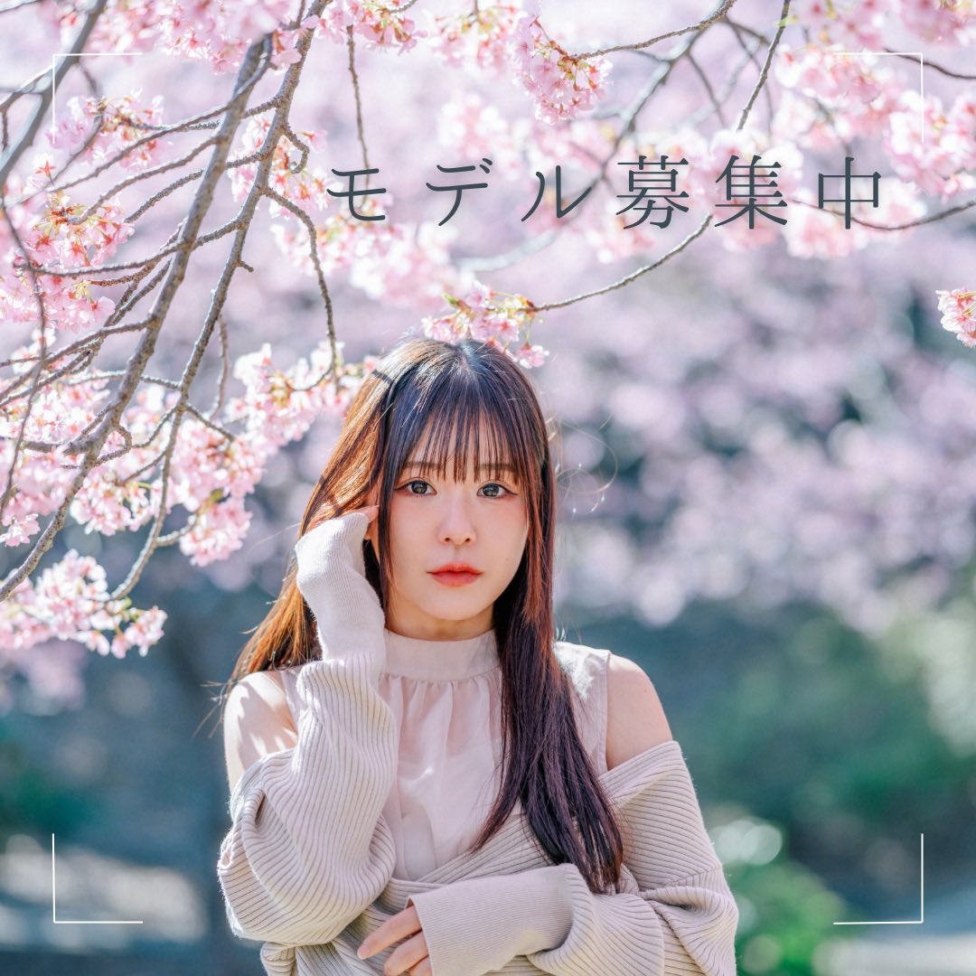 チェリッシュ撮影会🌸モデル募集中 tweet media