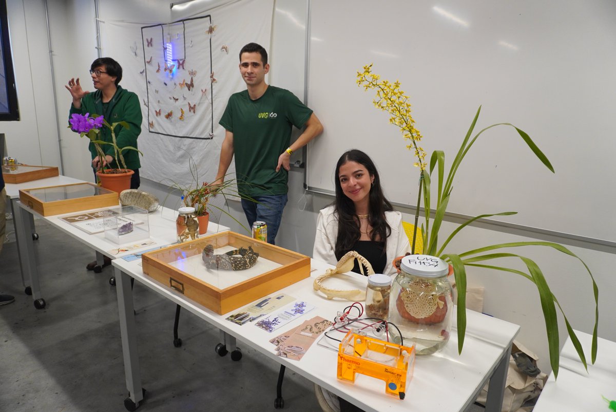 UVG Instituto de Investigaciones tweet media