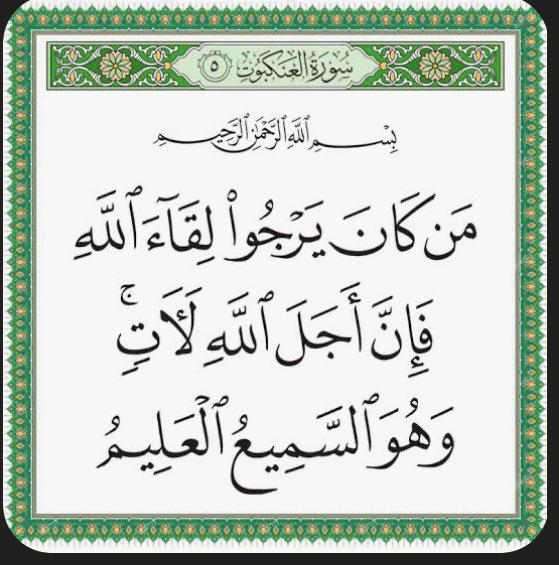 اشراق. tweet media