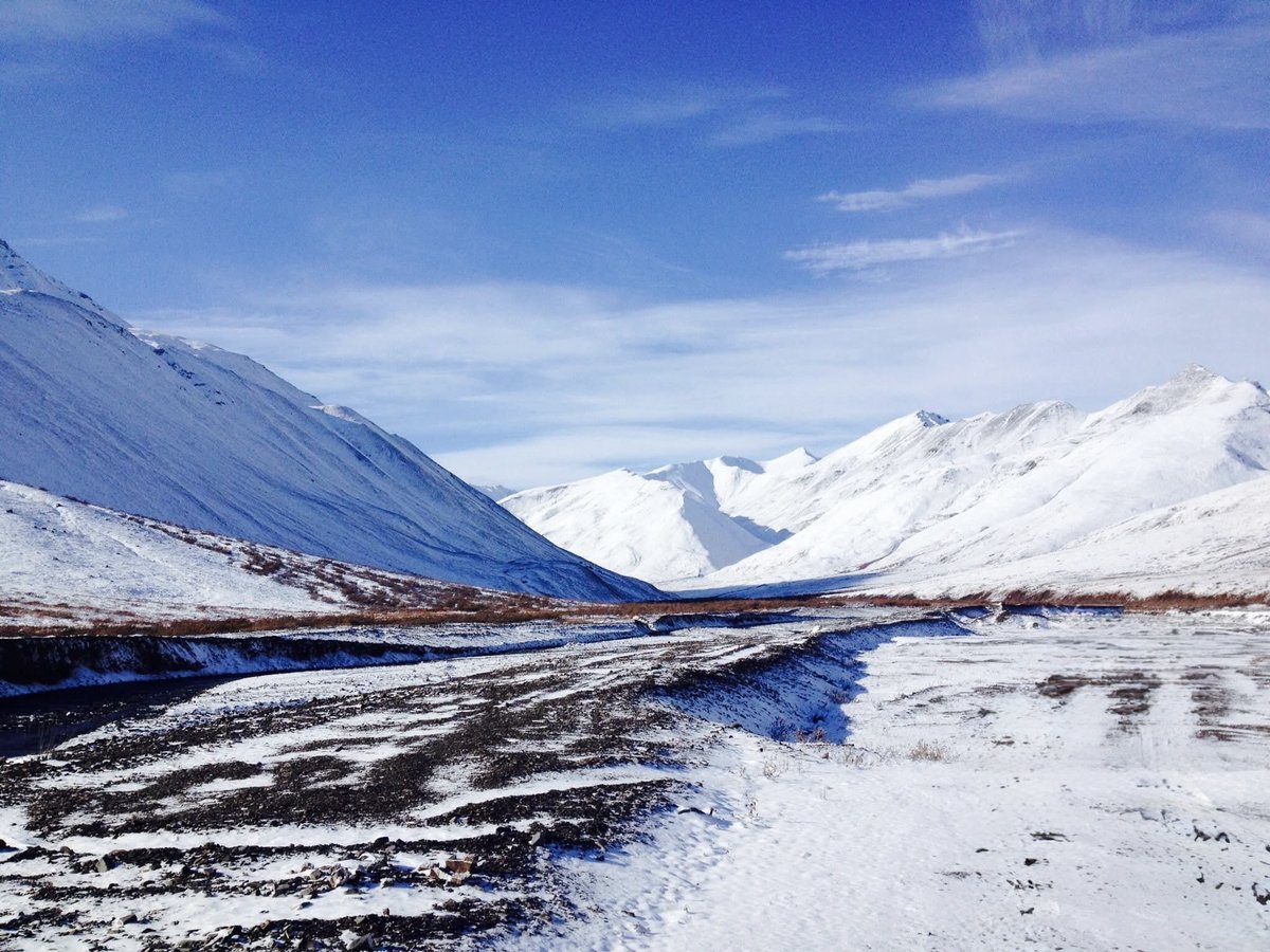 JMatthews_Wild's tweet image. Arctic Dreams.  Windswept Alaska.  
#bluesky
#nature
#WildTransformation