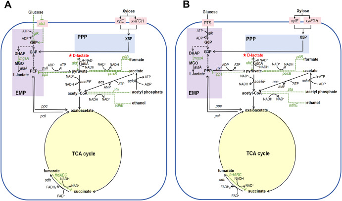 BioDesign Research tweet media