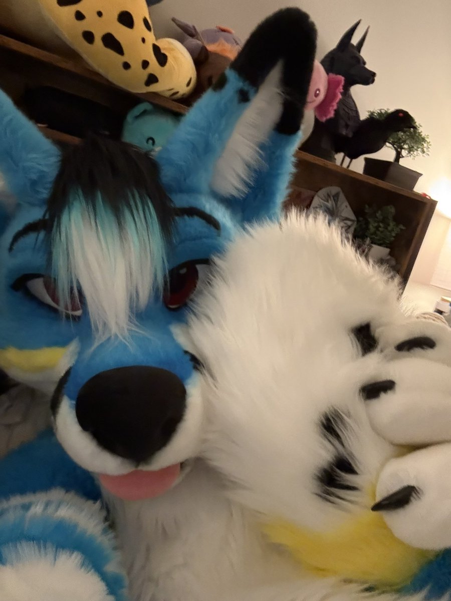 trombone fox! 🔜 FCL tweet media