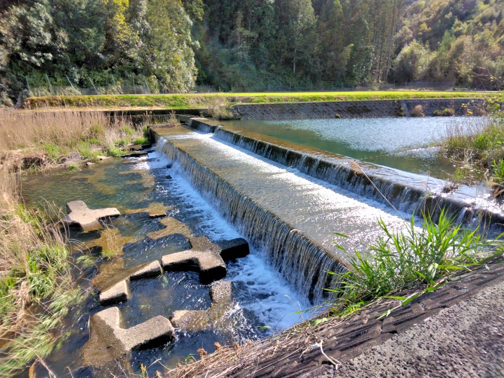 中山間地域の最上流で育てた農家直送のお米はいかがですか？

新しい発送にチャレンジする為にプレゼント企画　キャンペーン開催中🌾
 
フォロー＆リポストいただいた方の中から抽選で、
 #新米 #コシヒカリ 600～750gを5名にプレゼントします🌾【真空にしてますが期待せず2カ月以内に食べてください】