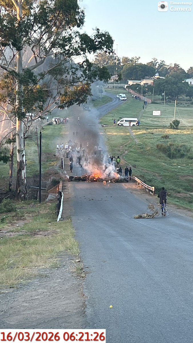 Tshepo Machaea tweet media