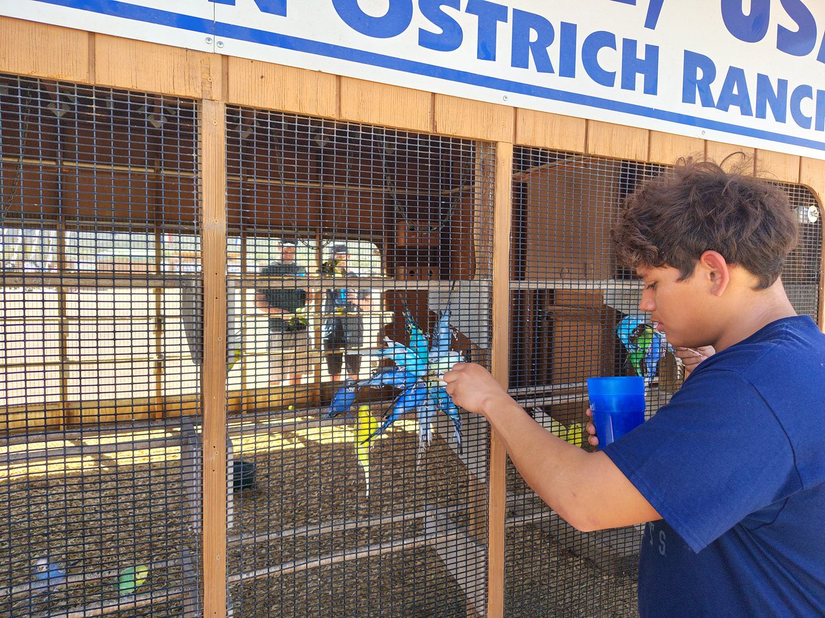 Coach Freddy Gonzalez tweet media